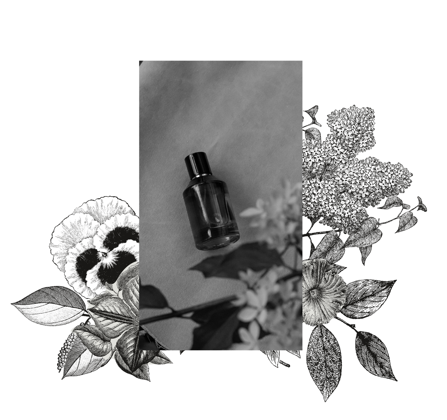 Organic room and natural body mist, natural fragrance spray with essential oils.