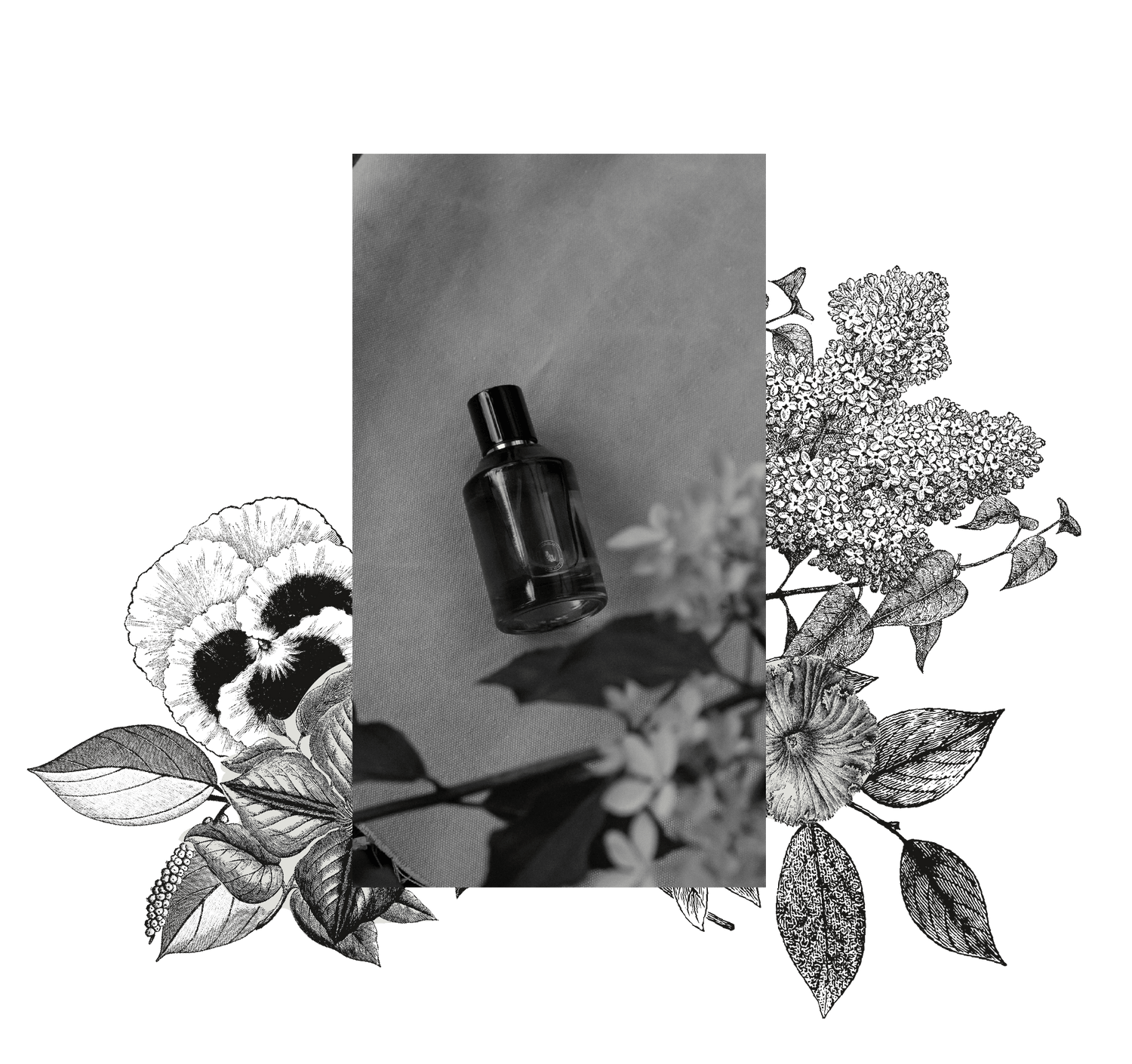 Organic room and natural body mist, natural fragrance spray with essential oils.