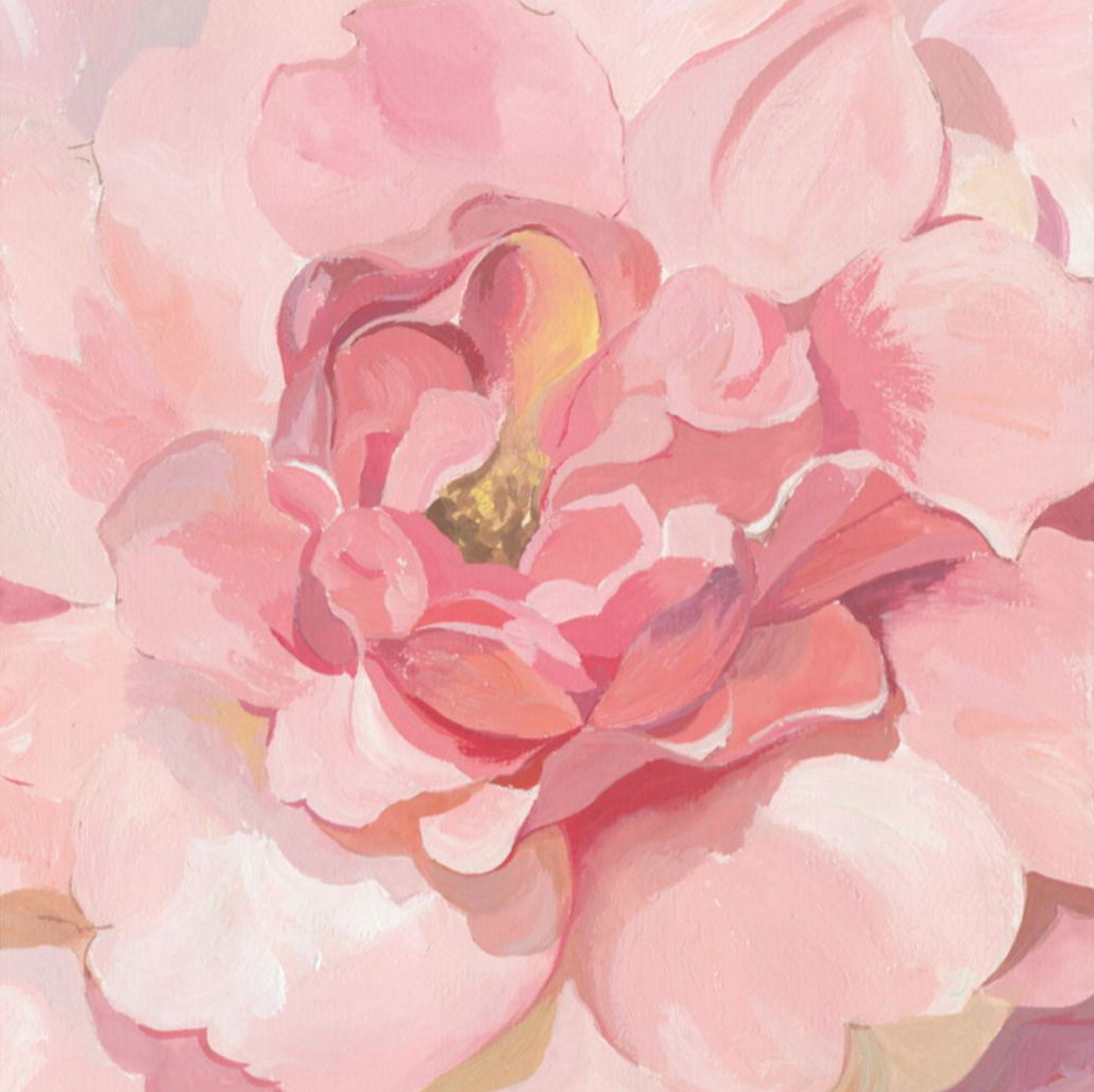 Rose I: Botanical wall decor, stretched onto shrink-resistant framed canvas, ready to hang.